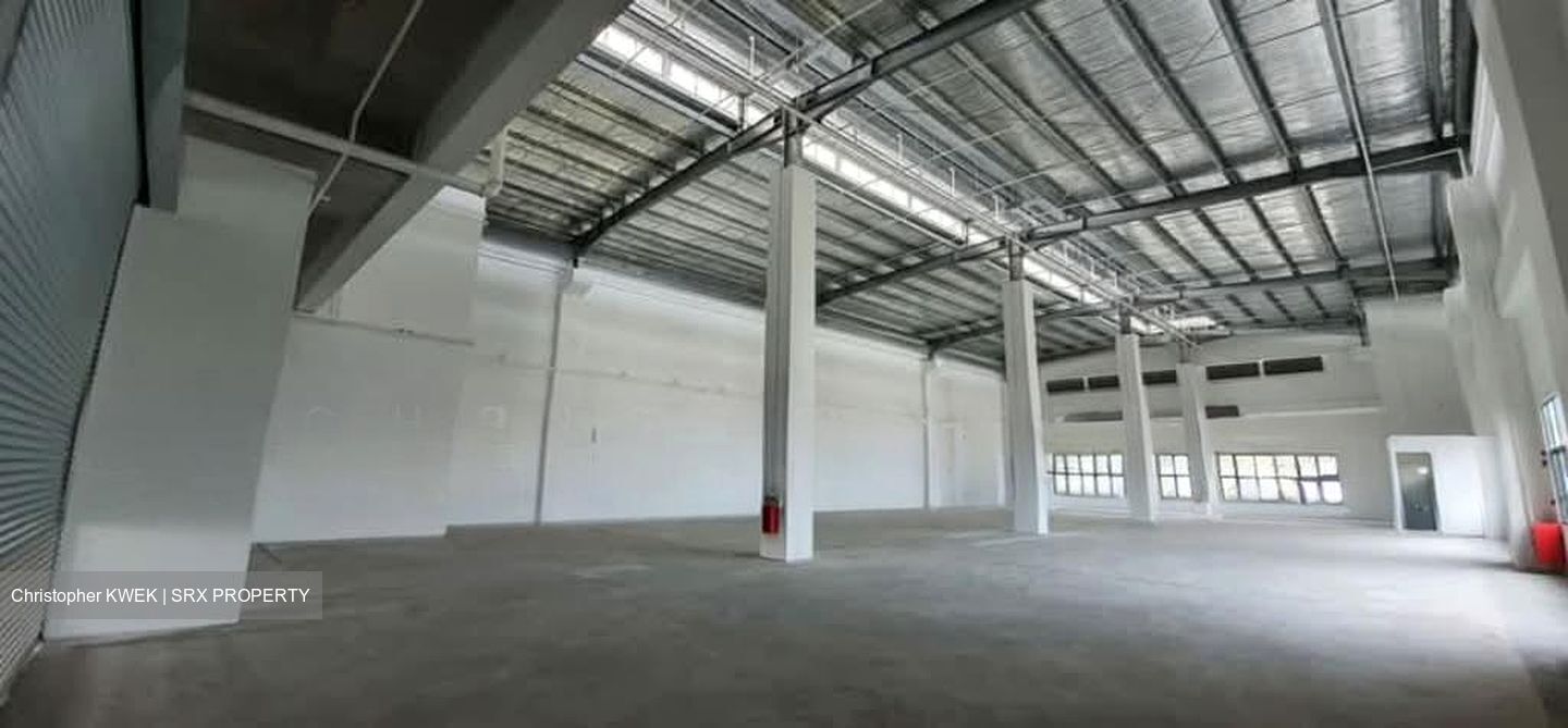 LINER (D22), Factory #557281461
